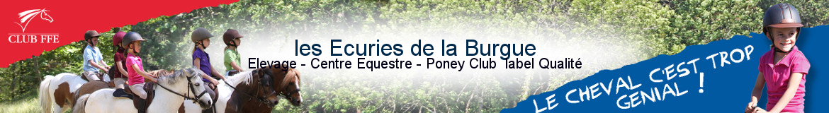 les Ecuries de la Burgue